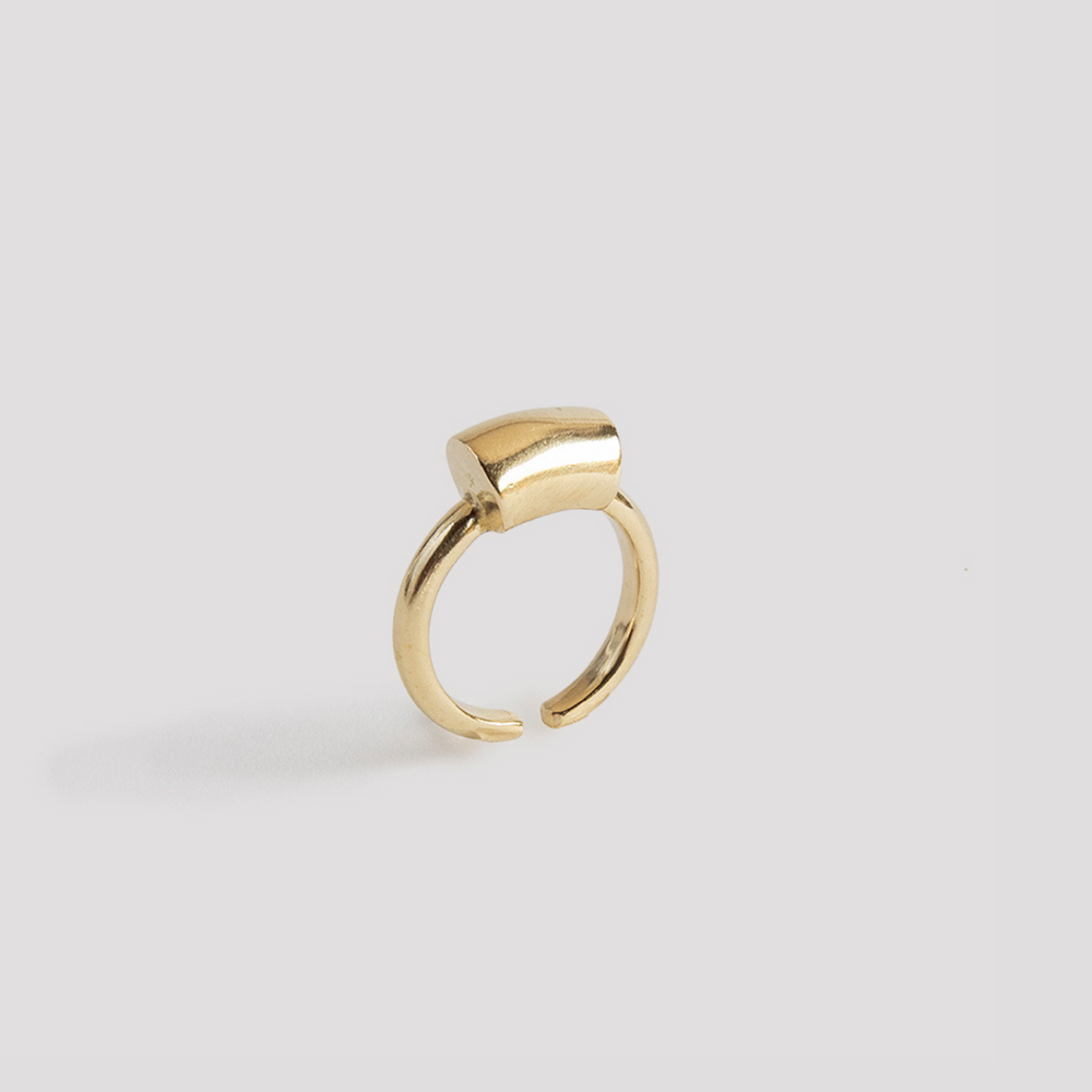 Totem ring - Lepagon